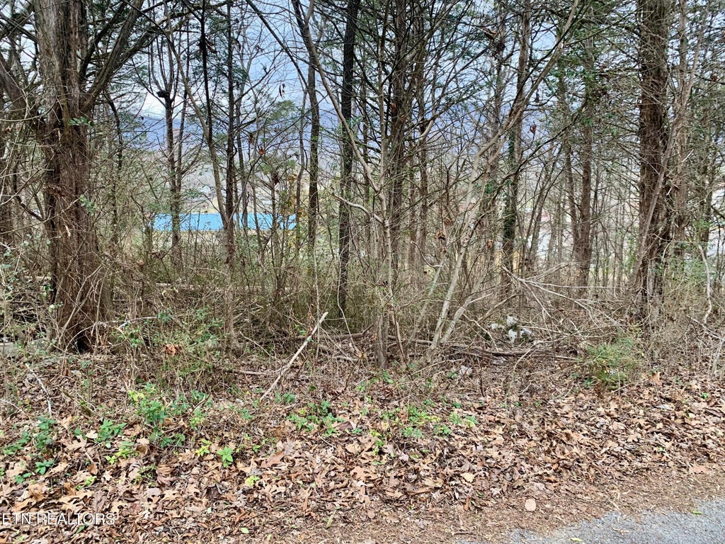 Photo of Cumberland Drive, Harrogate, TN 37752 (MLS # 1327306)