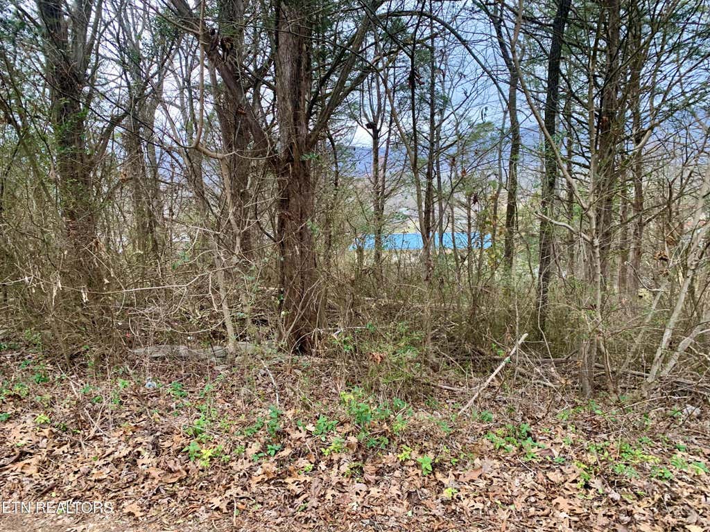 Photo of Cumberland Drive, Harrogate, TN 37752 (MLS # 1327306)