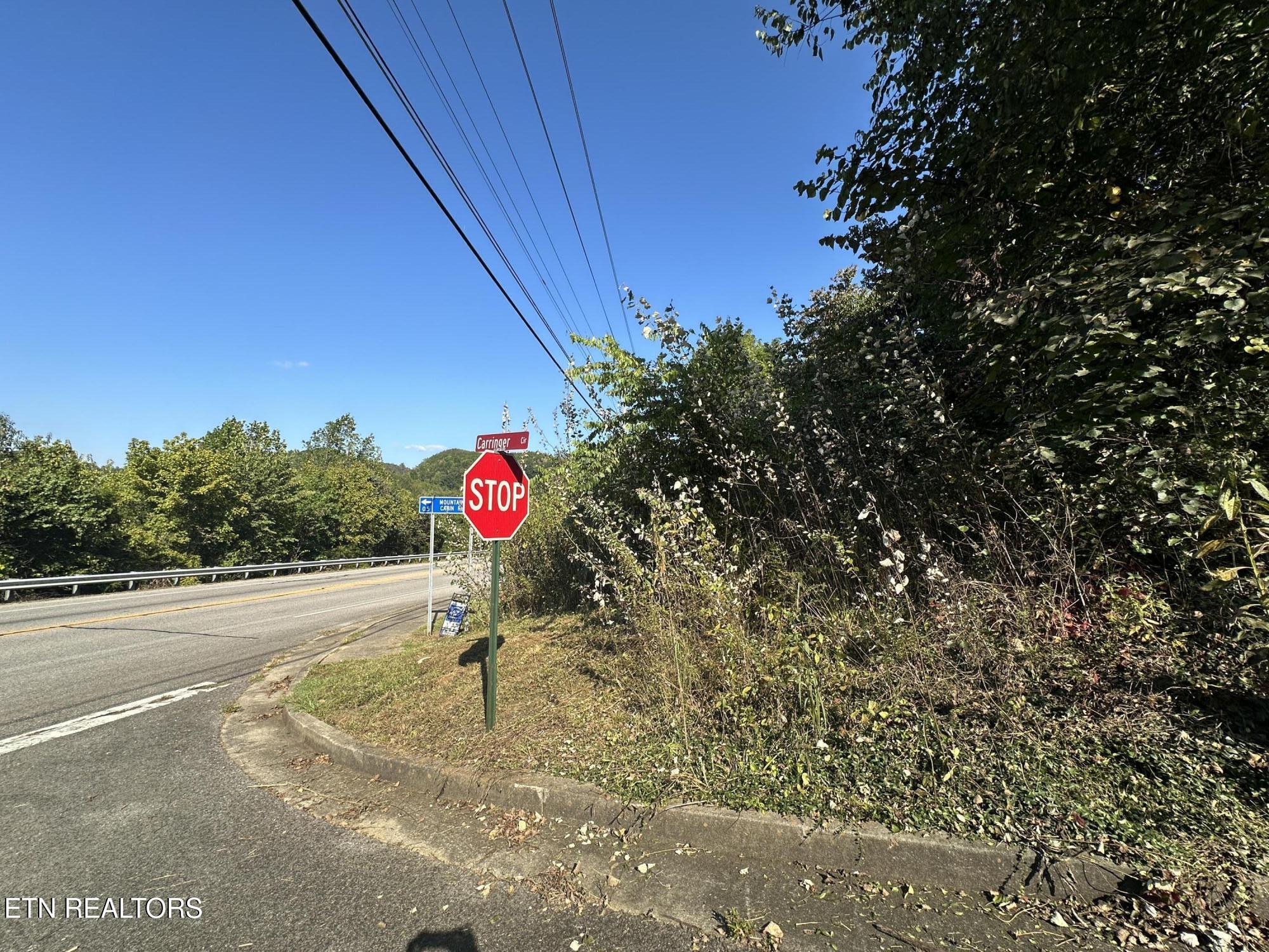 Carringer Circle
