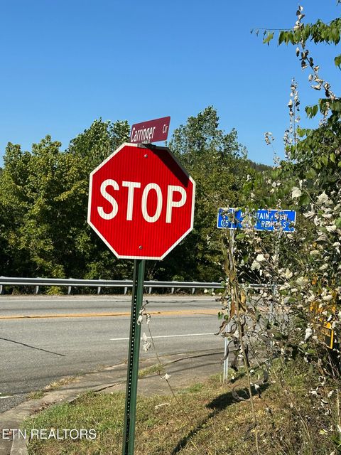 Photo of Carringer Circle, Tellico Plains, TN 37385 (MLS # 1319592)