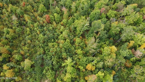 Tiny photo for ELB Private Drive #Lot 2, Huntsville, TN 37756 (MLS # 1355533)