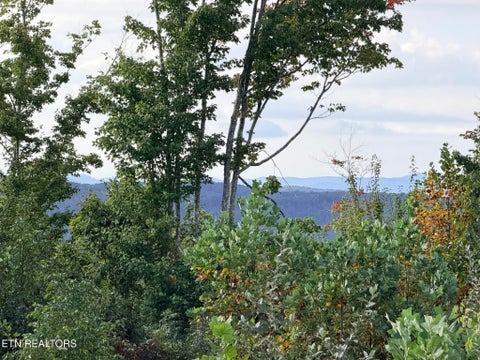 Tiny photo for ELB Private Drive #Lot 2, Huntsville, TN 37756 (MLS # 1355533)