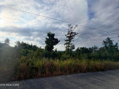 Tiny photo for ELB Private Drive #Lot 2, Huntsville, TN 37756 (MLS # 1355533)