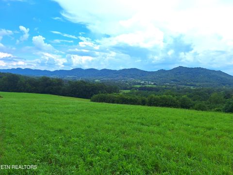 Race Track Rd Rogersville TN 37857