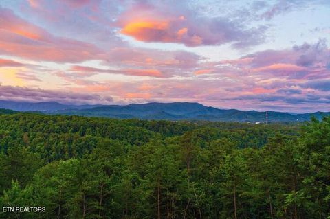 Tiny photo for 2037 Mccarter Drive, Sevierville, TN 37862 (MLS # 1323913)