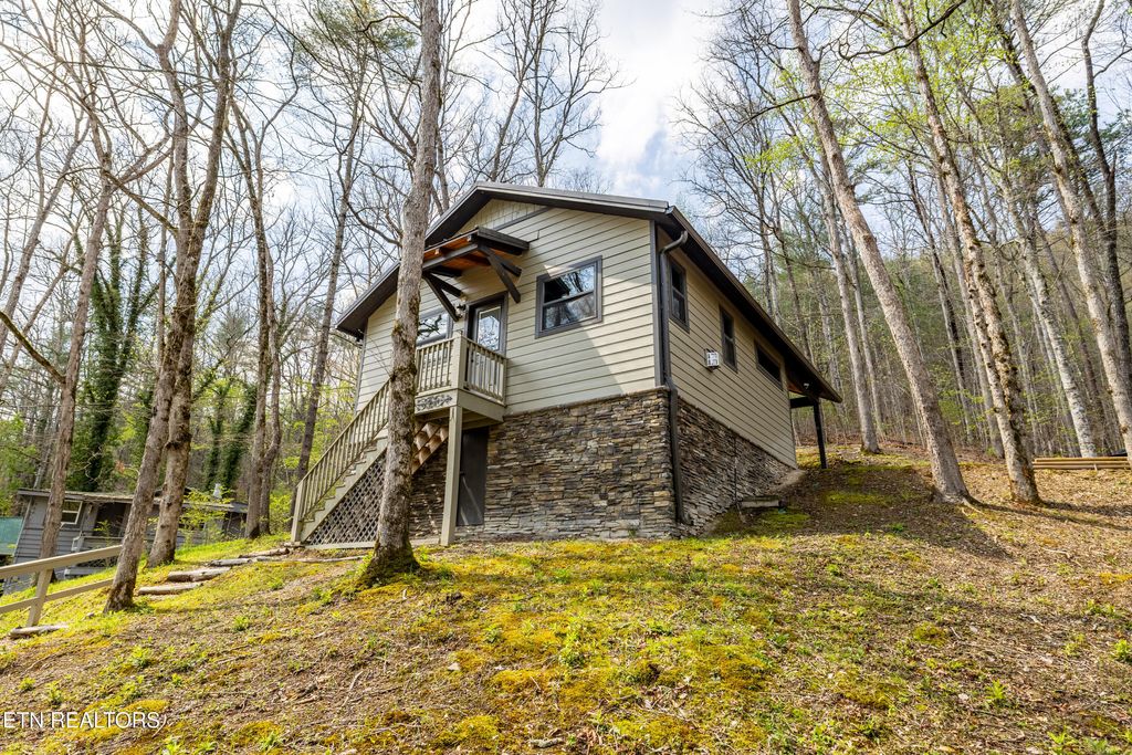 Photo of 236240 Long Branch Rd, Townsend, TN 37882 (MLS # 1299294)