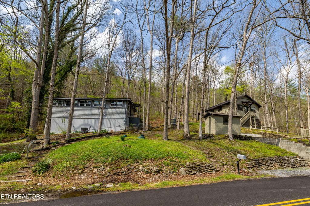 Photo of 236240 Long Branch Rd, Townsend, TN 37882 (MLS # 1299294)