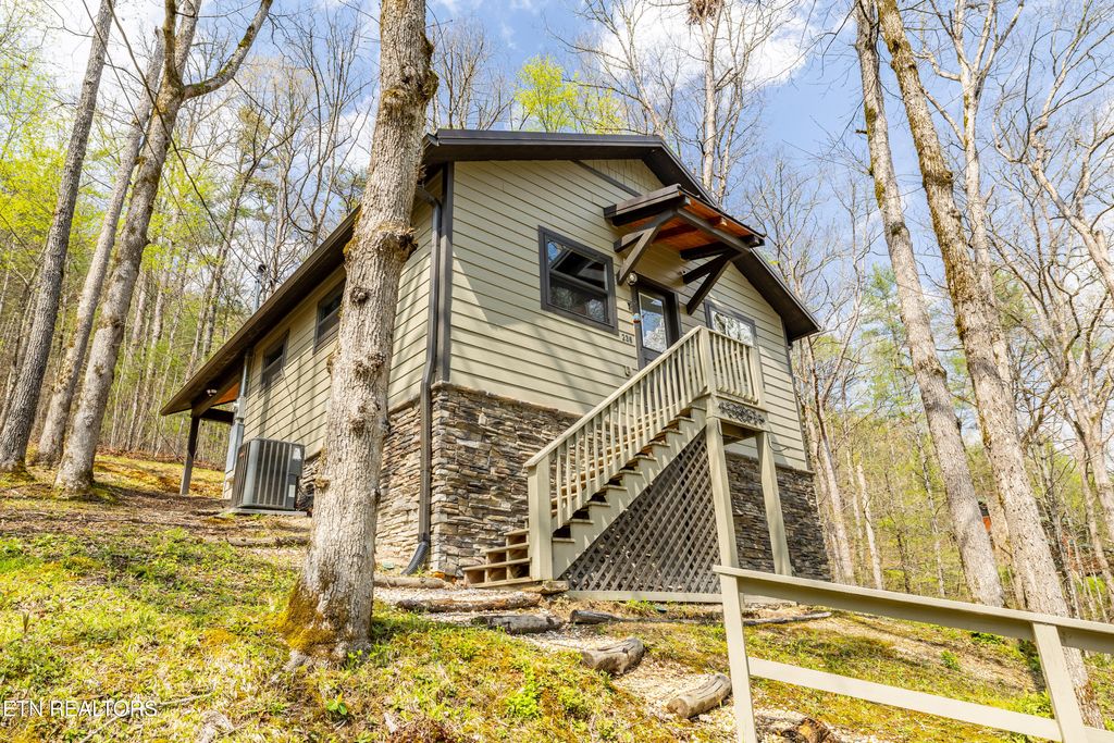 Photo of 236240 Long Branch Rd, Townsend, TN 37882 (MLS # 1299294)