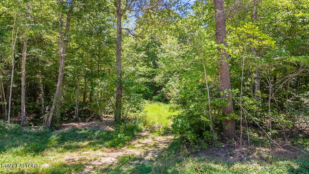 Photo of Twin Bridge Rd, Deer Lodge, TN 37726 (MLS # 1268858)