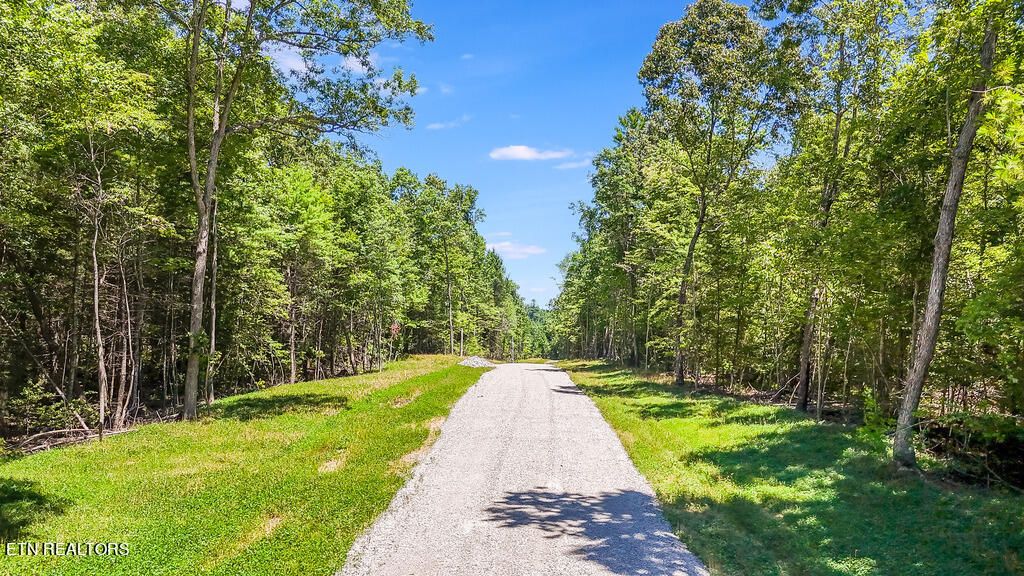 Photo of Twin Bridge Rd, Deer Lodge, TN 37726 (MLS # 1268858)