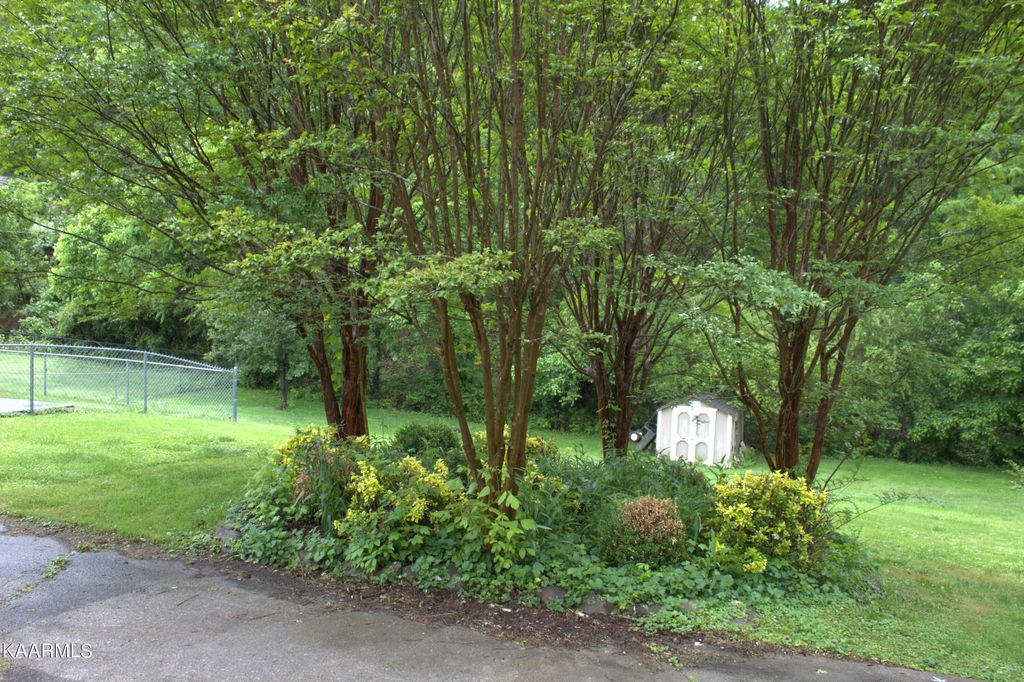 Photo of 4413 Amber Drive, Louisville, TN 37777 (MLS # 1226428)