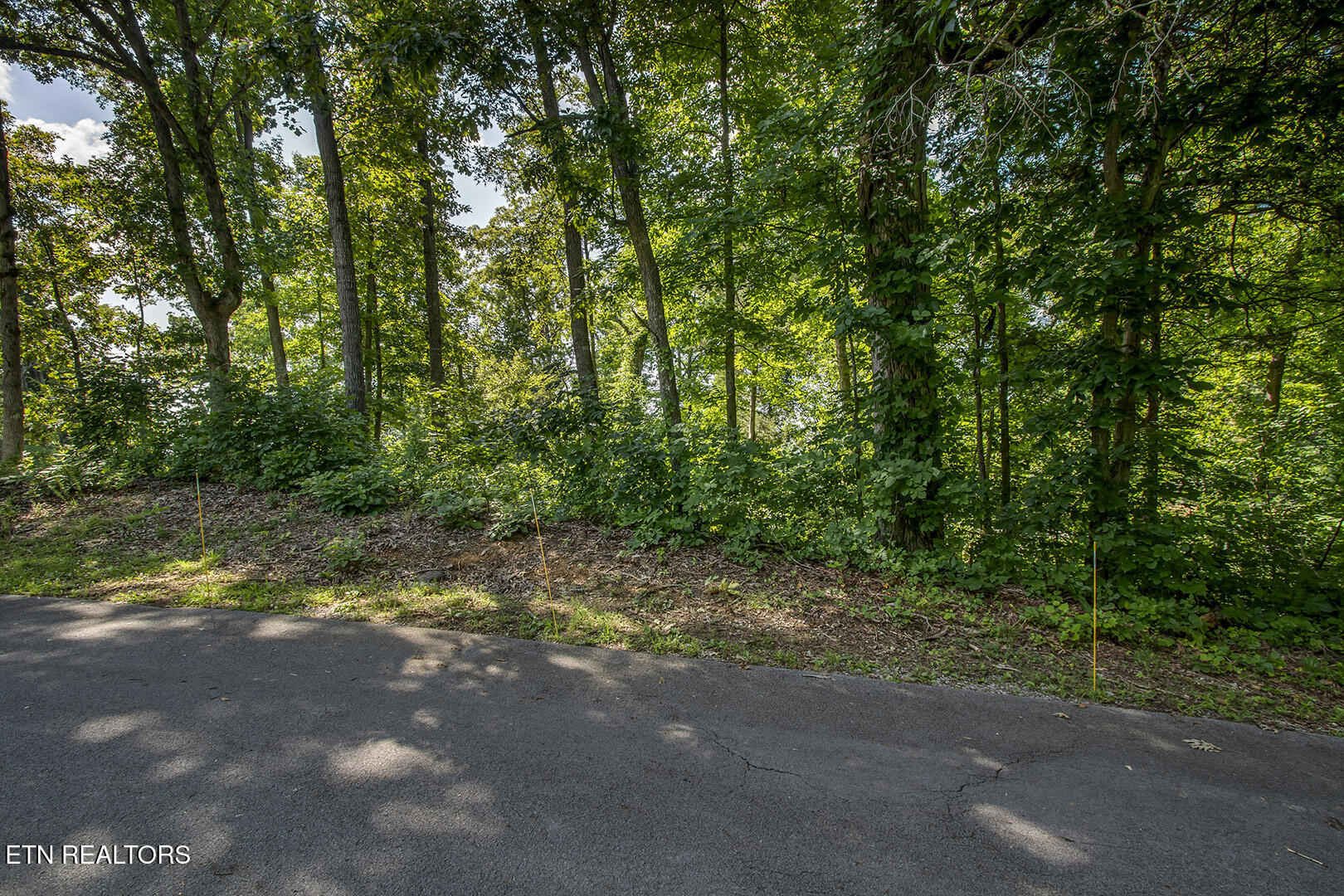 564 Bonne Vista Drive