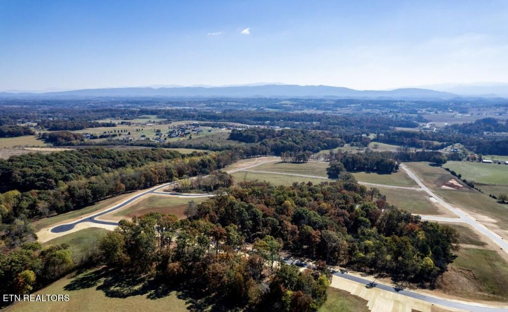 Photo of 106 Herbert Drive, Greenback, TN 37742 (MLS # 1264899)