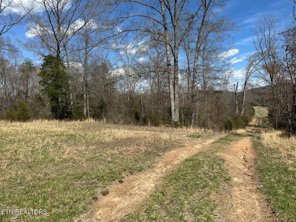 Photo of 32131 N State Highway 58 Hwy, Ten Mile, TN 37880 (MLS # 1294702)