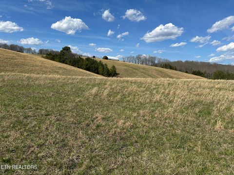 Tiny photo for 32131 N State Highway 58 Hwy, Ten Mile, TN 37880 (MLS # 1294702)