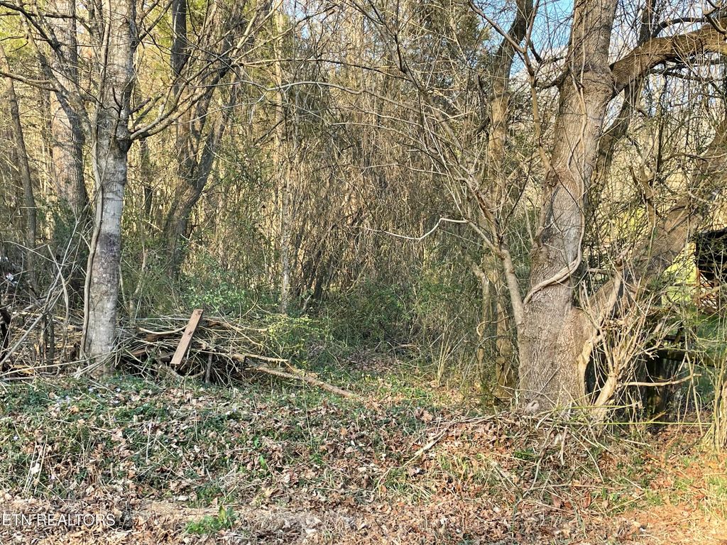 Photo of Crowder Rd, Madisonville, TN 37354 (MLS # 1331745)