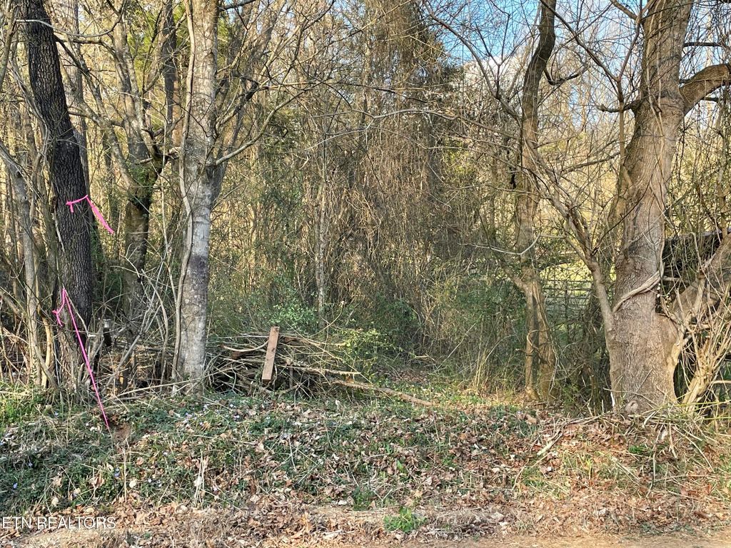 Photo of Crowder Rd, Madisonville, TN 37354 (MLS # 1331745)