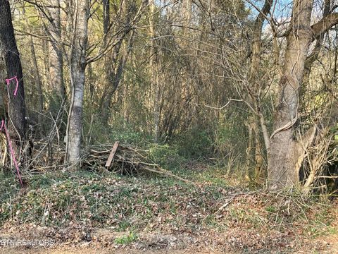 Photo of Crowder Rd, Madisonville, TN 37354 (MLS # 1331745)