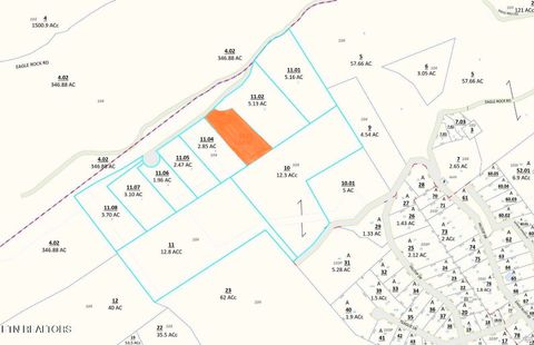 167 Eagle View Lane Jacksboro TN 37757