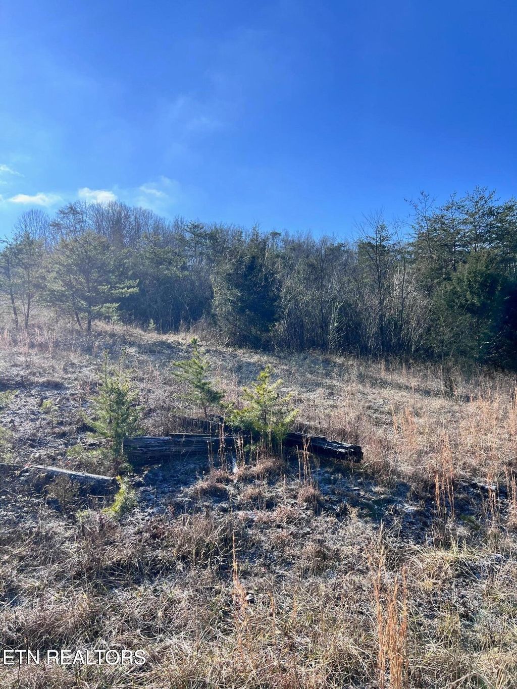 Photo of 1581 Lower Caney Valley Rd, Tazewell, TN 37879 (MLS # 1336659)