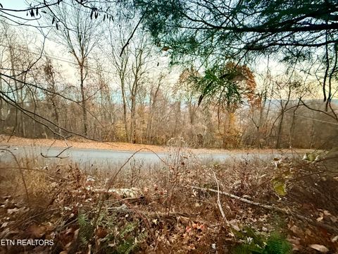 Tiny photo for 214 Clinch View Rd, New Tazewell, TN 37825 (MLS # 1322012)