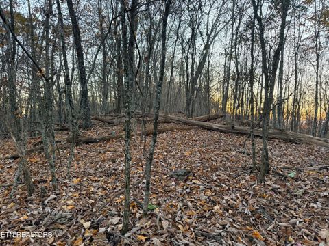 Tiny photo for 214 Clinch View Rd, New Tazewell, TN 37825 (MLS # 1322012)