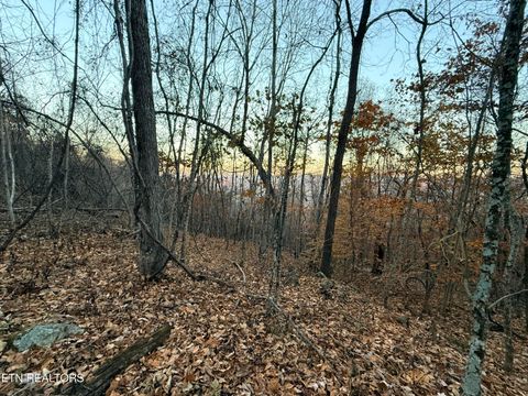 Tiny photo for 214 Clinch View Rd, New Tazewell, TN 37825 (MLS # 1322012)