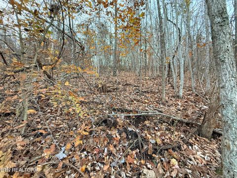 Tiny photo for 214 Clinch View Rd, New Tazewell, TN 37825 (MLS # 1322012)