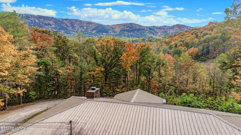Photo of 240 Greasy Cove Rd, Cosby, TN 37722 (MLS # 1360632)