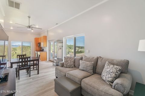 Tiny photo for 202 Sierra Lane, Blaine, TN 37709 (MLS # 1318640)