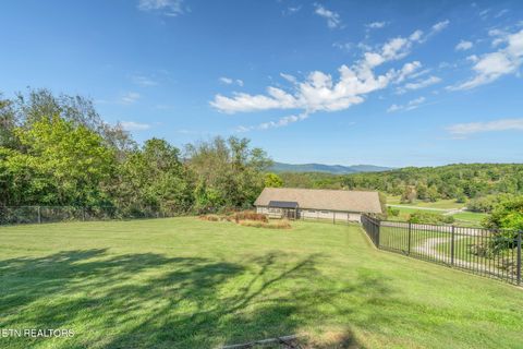 Tiny photo for 202 Sierra Lane, Blaine, TN 37709 (MLS # 1318640)