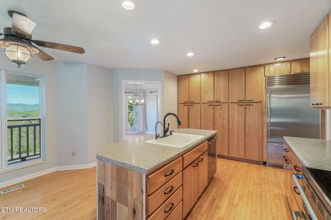 Tiny photo for 202 Sierra Lane, Blaine, TN 37709 (MLS # 1318640)