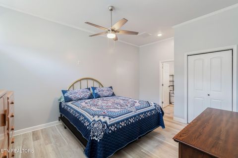 Tiny photo for 202 Sierra Lane, Blaine, TN 37709 (MLS # 1318640)