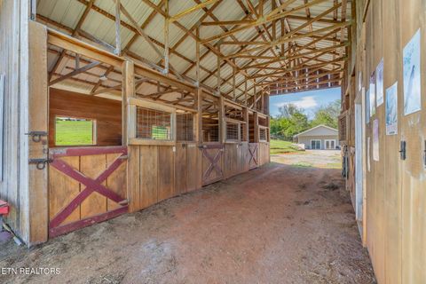 Tiny photo for 202 Sierra Lane, Blaine, TN 37709 (MLS # 1318640)