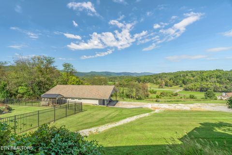 Tiny photo for 202 Sierra Lane, Blaine, TN 37709 (MLS # 1318640)