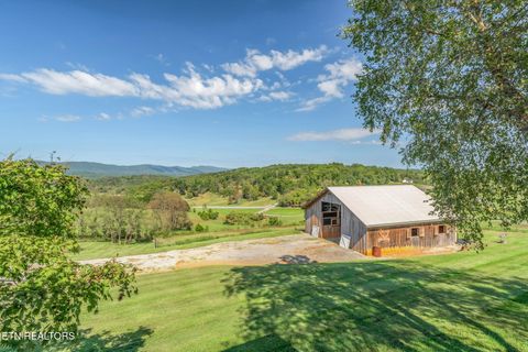 Tiny photo for 202 Sierra Lane, Blaine, TN 37709 (MLS # 1318640)
