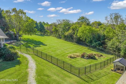 Tiny photo for 202 Sierra Lane, Blaine, TN 37709 (MLS # 1318640)