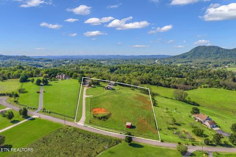 Tiny photo for 202 Sierra Lane, Blaine, TN 37709 (MLS # 1318640)