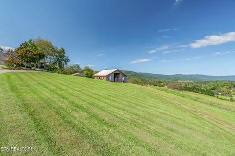 Tiny photo for 202 Sierra Lane, Blaine, TN 37709 (MLS # 1318640)