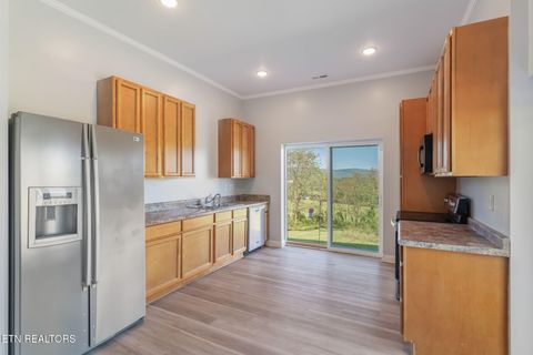 Tiny photo for 202 Sierra Lane, Blaine, TN 37709 (MLS # 1318640)