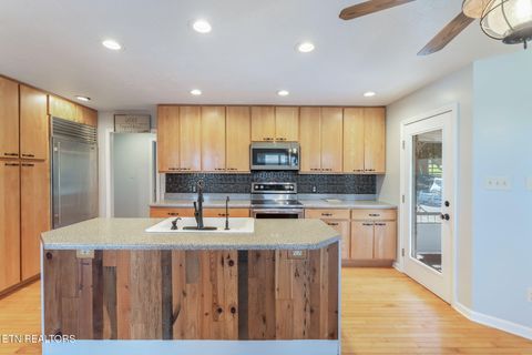 Tiny photo for 202 Sierra Lane, Blaine, TN 37709 (MLS # 1318640)