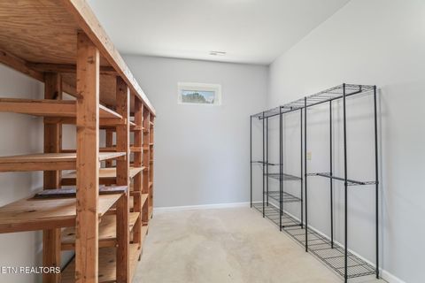 Tiny photo for 202 Sierra Lane, Blaine, TN 37709 (MLS # 1318640)