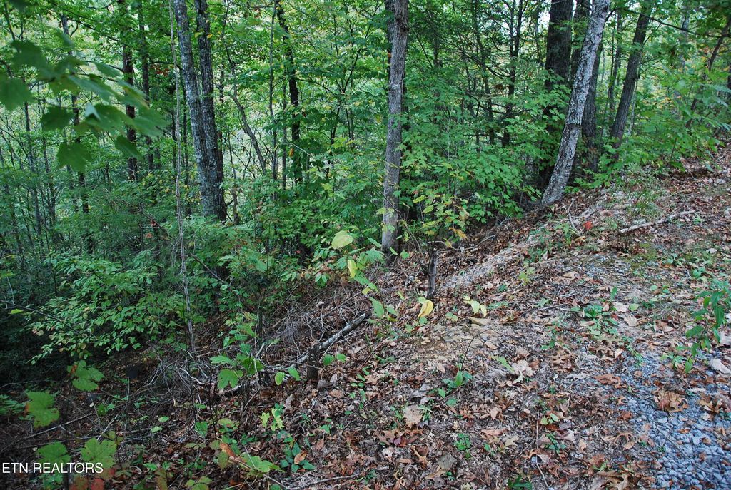 Photo of 2017 Ridgecrest Loop Lane, Sevierville, TN 37876 (MLS # 1279966)