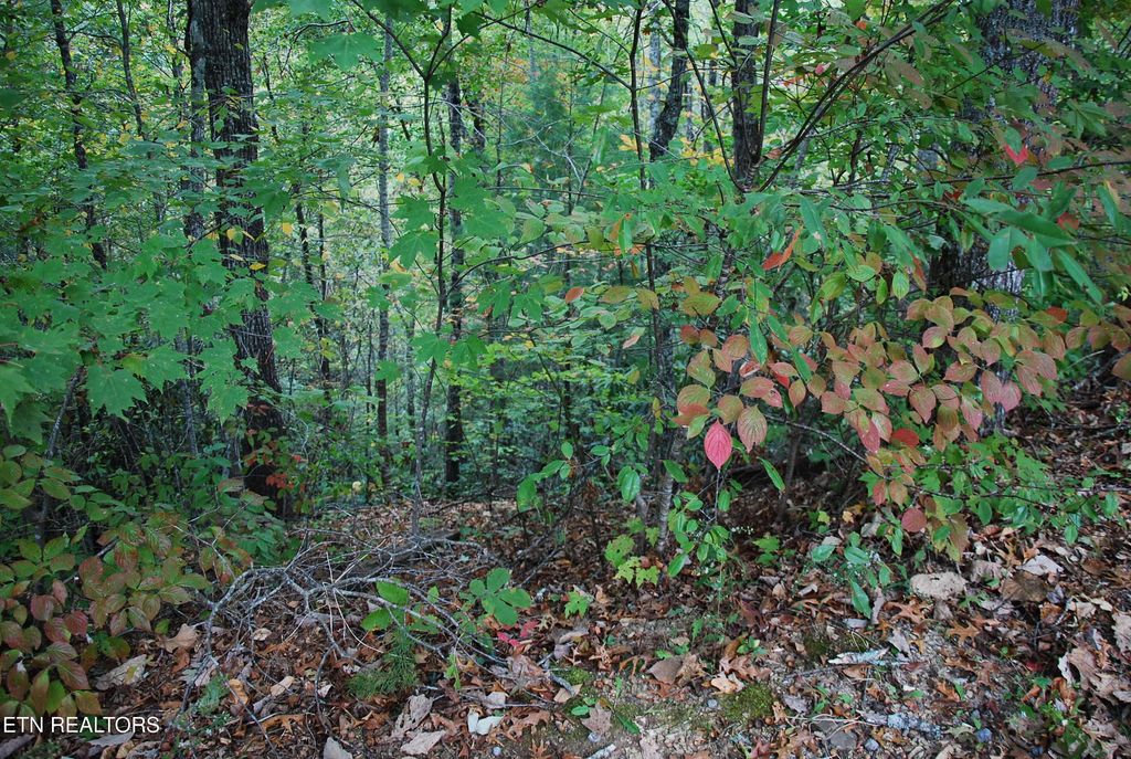 Photo of 2017 Ridgecrest Loop Lane, Sevierville, TN 37876 (MLS # 1279966)