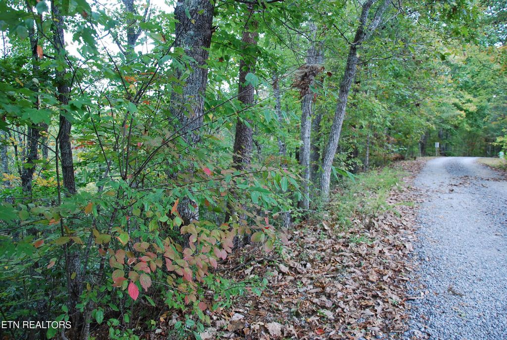 Photo of 2017 Ridgecrest Loop Lane, Sevierville, TN 37876 (MLS # 1279966)