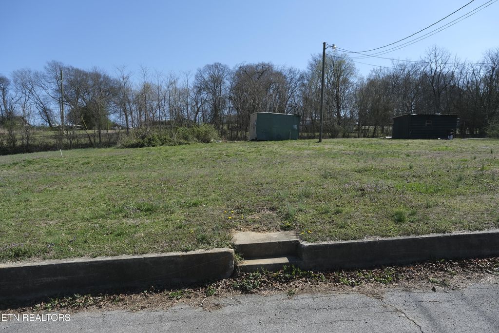 Photo of 203 Pettit St, Vonore, TN 37885 (MLS # 1294472)