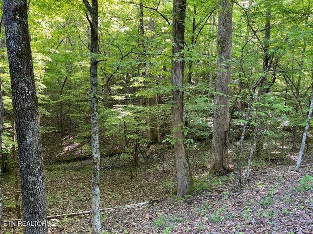 Photo of 328329 Omega Drive Drive, Spring City, TN 37381 (MLS # 1339681)
