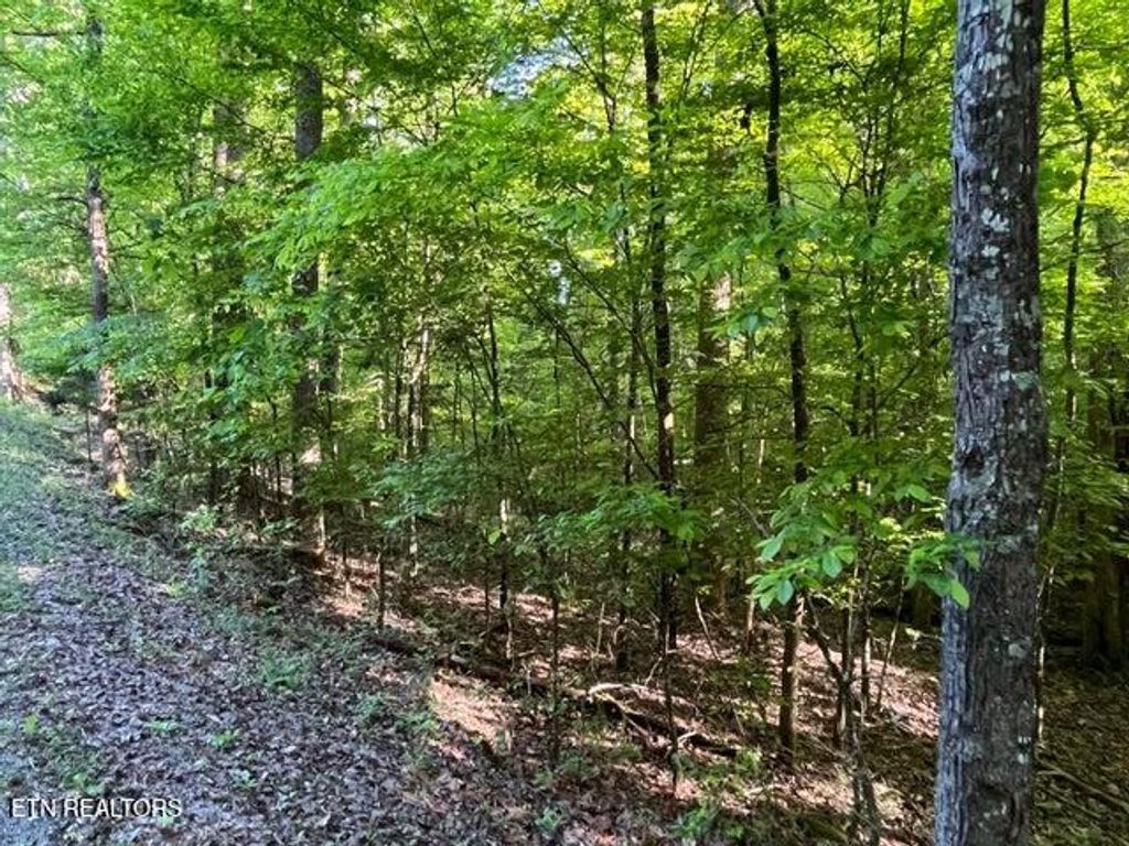 Photo of 328329 Omega Drive Drive, Spring City, TN 37381 (MLS # 1339681)