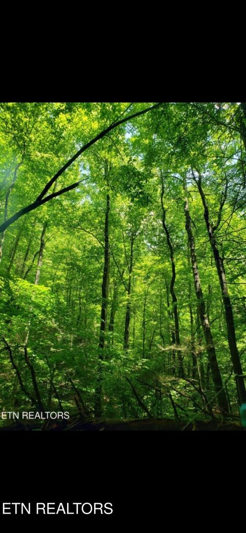 Photo of Watson Branch Lane, Speedwell, TN 37870 (MLS # 1328460)