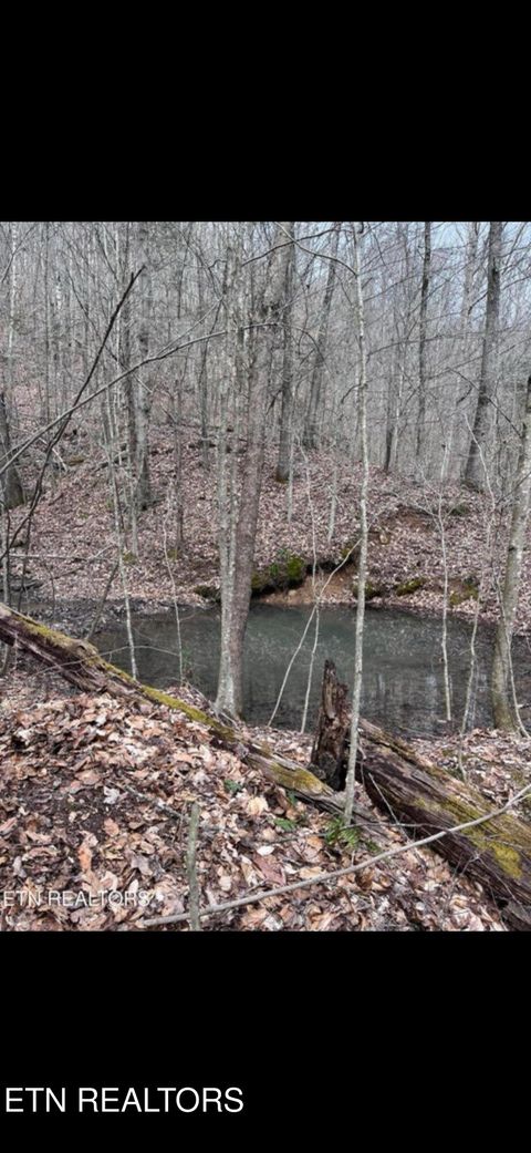 Tiny photo for Watson Branch Lane, Speedwell, TN 37870 (MLS # 1328460)